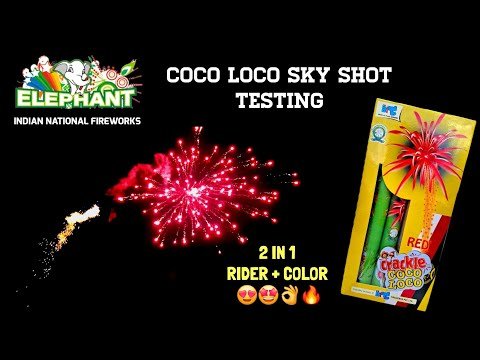 Cocoloco (3 Pcs)